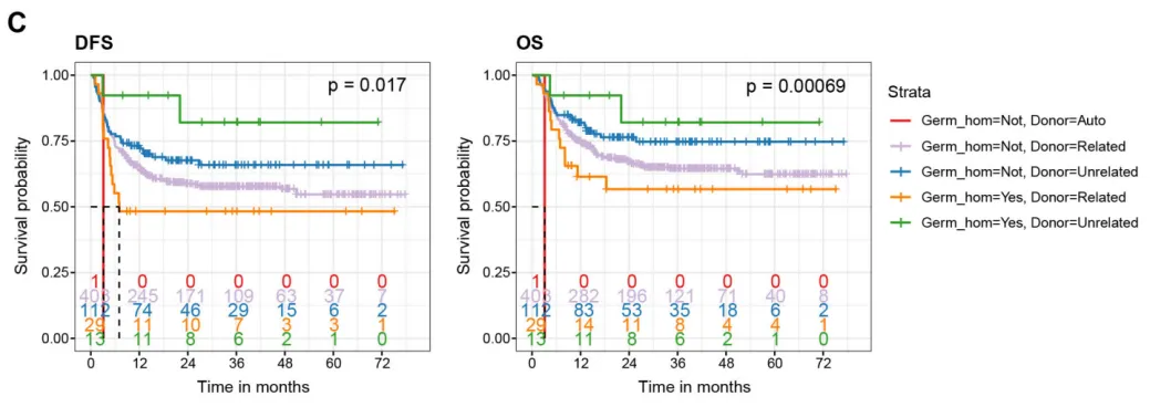 Kaplan-Meier curves comparing DFS and OS by donor type in patients with and without homozygous germline predisposition gene mutations