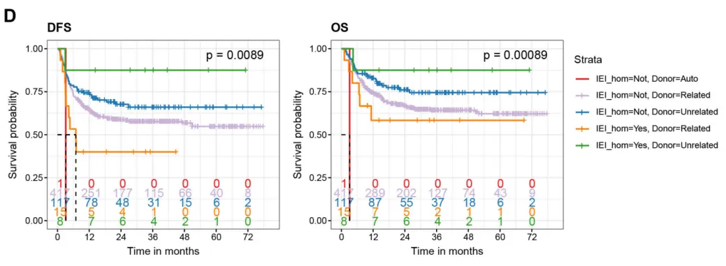 Kaplan-Meier curves of DFS and OS in patients with homozygous IEI mutations stratified by related versus unrelated donor