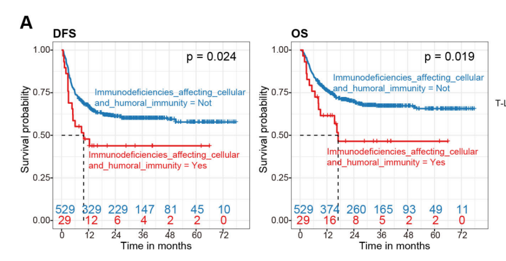 Kaplan-Meier curves showing DFS and OS are significantly shorter in patients carrying IACHI germline mutations compared with non-carriers